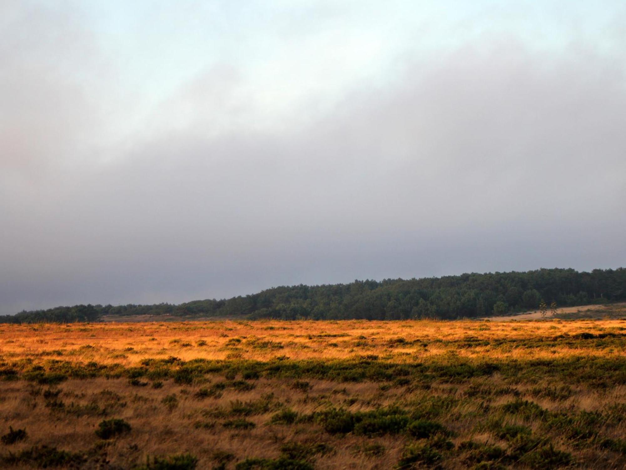 Monte De Santo Antonio - Turismo Rural Vila do Bispo Exteriér fotografie